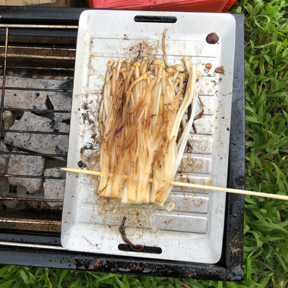 Durable Titanium Camping Grill - đánh giá và giá Camping Cooking Pan